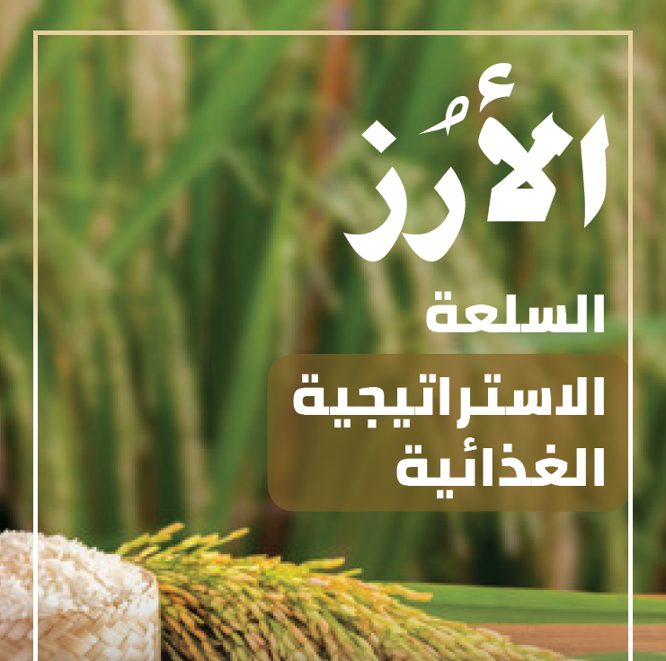 Rice in Saudi Arabia Numbers and Indications